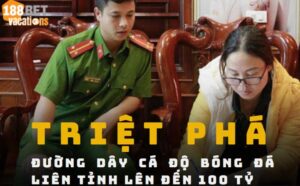 cá độ bóng đá liên tỉnh